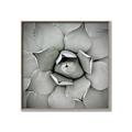 Picture of Eye of the Succulent _GroupedProduct_Square_Photography _GroupedProduct_Square_Canvas_Framed_