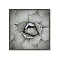 Picture of Eye of the Succulent _GroupedProduct_Square_Photography _GroupedProduct_Square_Canvas_Framed_