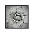 Picture of Eye of the Succulent _GroupedProduct_Square_Photography _GroupedProduct_Square_Canvas_Framed_