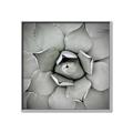 Picture of Eye of the Succulent _GroupedProduct_Square_Photography _GroupedProduct_Square_Canvas_Framed_
