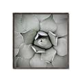 Picture of Eye of the Succulent _GroupedProduct_Square_Photography _GroupedProduct_Square_Canvas_Framed_