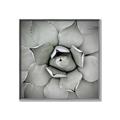 Picture of Eye of the Succulent _GroupedProduct_Square_Photography _GroupedProduct_Square_Canvas_Framed_