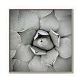 Picture of Eye of the Succulent _GroupedProduct_Square_Photography _GroupedProduct_Square_Canvas_Framed_