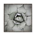 Picture of Eye of the Succulent _GroupedProduct_Square_Photography _GroupedProduct_Square_Canvas_Framed_