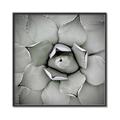 Picture of Eye of the Succulent _GroupedProduct_Square_Photography _GroupedProduct_Square_Canvas_Framed_