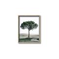 Picture of The Only Tree _GroupedProduct_Rectangle_Portrait_Photography _GroupedProduct_Rectangle_Portrait_Canvas_Framed_