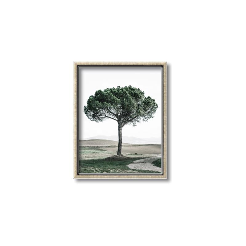 Picture of The Only Tree _GroupedProduct_Rectangle_Portrait_Photography _GroupedProduct_Rectangle_Portrait_Canvas_Framed_