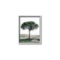 Picture of The Only Tree _GroupedProduct_Rectangle_Portrait_Photography _GroupedProduct_Rectangle_Portrait_Canvas_Framed_