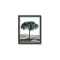 Picture of The Only Tree _GroupedProduct_Rectangle_Portrait_Photography _GroupedProduct_Rectangle_Portrait_Canvas_Framed_