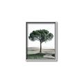 Picture of The Only Tree _GroupedProduct_Rectangle_Portrait_Photography _GroupedProduct_Rectangle_Portrait_Canvas_Framed_