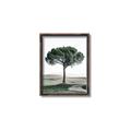 Picture of The Only Tree _GroupedProduct_Rectangle_Portrait_Photography _GroupedProduct_Rectangle_Portrait_Canvas_Framed_