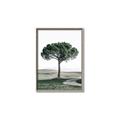 Picture of The Only Tree _GroupedProduct_Rectangle_Portrait_Photography _GroupedProduct_Rectangle_Portrait_Canvas_Framed_