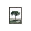 Picture of The Only Tree _GroupedProduct_Rectangle_Portrait_Photography _GroupedProduct_Rectangle_Portrait_Canvas_Framed_