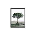 Picture of The Only Tree _GroupedProduct_Rectangle_Portrait_Photography _GroupedProduct_Rectangle_Portrait_Canvas_Framed_