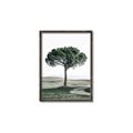 Picture of The Only Tree _GroupedProduct_Rectangle_Portrait_Photography _GroupedProduct_Rectangle_Portrait_Canvas_Framed_