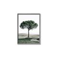 Picture of The Only Tree _GroupedProduct_Rectangle_Portrait_Photography _GroupedProduct_Rectangle_Portrait_Canvas_Framed_