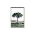 Picture of The Only Tree _GroupedProduct_Rectangle_Portrait_Photography _GroupedProduct_Rectangle_Portrait_Canvas_Framed_