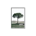 Picture of The Only Tree _GroupedProduct_Rectangle_Portrait_Photography _GroupedProduct_Rectangle_Portrait_Canvas_Framed_