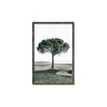 Picture of The Only Tree _GroupedProduct_Rectangle_Portrait_Photography _GroupedProduct_Rectangle_Portrait_Canvas_Framed_