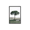 Picture of The Only Tree _GroupedProduct_Rectangle_Portrait_Photography _GroupedProduct_Rectangle_Portrait_Canvas_Framed_