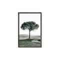 Picture of The Only Tree _GroupedProduct_Rectangle_Portrait_Photography _GroupedProduct_Rectangle_Portrait_Canvas_Framed_