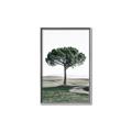 Picture of The Only Tree _GroupedProduct_Rectangle_Portrait_Photography _GroupedProduct_Rectangle_Portrait_Canvas_Framed_