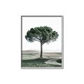 Picture of The Only Tree _GroupedProduct_Rectangle_Portrait_Photography _GroupedProduct_Rectangle_Portrait_Canvas_Framed_