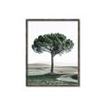 Picture of The Only Tree _GroupedProduct_Rectangle_Portrait_Photography _GroupedProduct_Rectangle_Portrait_Canvas_Framed_