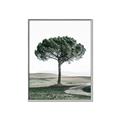 Picture of The Only Tree _GroupedProduct_Rectangle_Portrait_Photography _GroupedProduct_Rectangle_Portrait_Canvas_Framed_