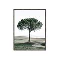 Picture of The Only Tree _GroupedProduct_Rectangle_Portrait_Photography _GroupedProduct_Rectangle_Portrait_Canvas_Framed_