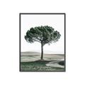 Picture of The Only Tree _GroupedProduct_Rectangle_Portrait_Photography _GroupedProduct_Rectangle_Portrait_Canvas_Framed_