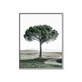 Picture of The Only Tree _GroupedProduct_Rectangle_Portrait_Photography _GroupedProduct_Rectangle_Portrait_Canvas_Framed_