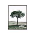 Picture of The Only Tree _GroupedProduct_Rectangle_Portrait_Photography _GroupedProduct_Rectangle_Portrait_Canvas_Framed_