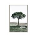 Picture of The Only Tree _GroupedProduct_Rectangle_Portrait_Photography _GroupedProduct_Rectangle_Portrait_Canvas_Framed_