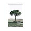 Picture of The Only Tree _GroupedProduct_Rectangle_Portrait_Photography _GroupedProduct_Rectangle_Portrait_Canvas_Framed_