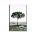 Picture of The Only Tree _GroupedProduct_Rectangle_Portrait_Photography _GroupedProduct_Rectangle_Portrait_Canvas_Framed_