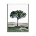 Picture of The Only Tree _GroupedProduct_Rectangle_Portrait_Photography _GroupedProduct_Rectangle_Portrait_Canvas_Framed_