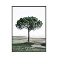 Picture of The Only Tree _GroupedProduct_Rectangle_Portrait_Photography _GroupedProduct_Rectangle_Portrait_Canvas_Framed_