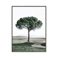 Picture of The Only Tree _GroupedProduct_Rectangle_Portrait_Photography _GroupedProduct_Rectangle_Portrait_Canvas_Framed_