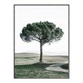 Picture of The Only Tree _GroupedProduct_Rectangle_Portrait_Photography _GroupedProduct_Rectangle_Portrait_Canvas_Framed_