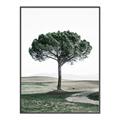 Picture of The Only Tree _GroupedProduct_Rectangle_Portrait_Photography _GroupedProduct_Rectangle_Portrait_Canvas_Framed_