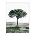 Picture of The Only Tree _GroupedProduct_Rectangle_Portrait_Photography _GroupedProduct_Rectangle_Portrait_Canvas_Framed_