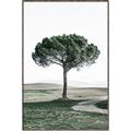 Picture of The Only Tree _GroupedProduct_Rectangle_Portrait_Photography _GroupedProduct_Rectangle_Portrait_Canvas_Framed_