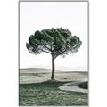 Picture of The Only Tree _GroupedProduct_Rectangle_Portrait_Photography _GroupedProduct_Rectangle_Portrait_Canvas_Framed_