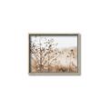 Picture of Neutral Grasses _GroupedProduct_Rectangle_Landscape_Photography _GroupedProduct_Rectangle_Landscape_Canvas_Framed_