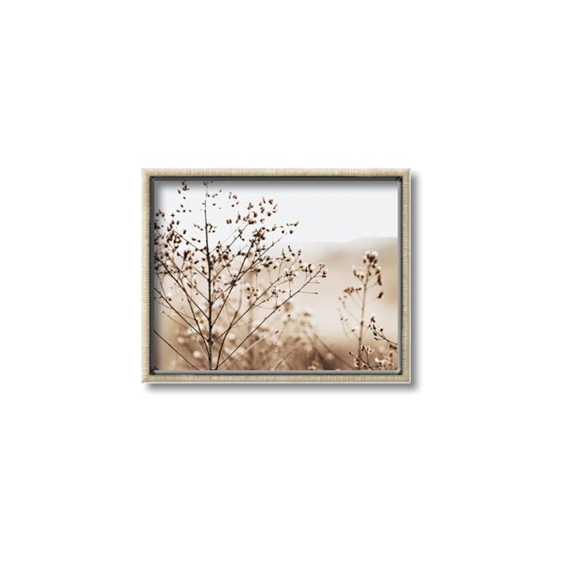 Picture of Neutral Grasses _GroupedProduct_Rectangle_Landscape_Photography _GroupedProduct_Rectangle_Landscape_Canvas_Framed_