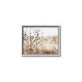 Picture of Neutral Grasses _GroupedProduct_Rectangle_Landscape_Photography _GroupedProduct_Rectangle_Landscape_Canvas_Framed_