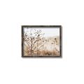 Picture of Neutral Grasses _GroupedProduct_Rectangle_Landscape_Photography _GroupedProduct_Rectangle_Landscape_Canvas_Framed_
