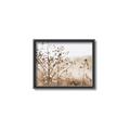 Picture of Neutral Grasses _GroupedProduct_Rectangle_Landscape_Photography _GroupedProduct_Rectangle_Landscape_Canvas_Framed_