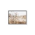 Picture of Neutral Grasses _GroupedProduct_Rectangle_Landscape_Photography _GroupedProduct_Rectangle_Landscape_Canvas_Framed_